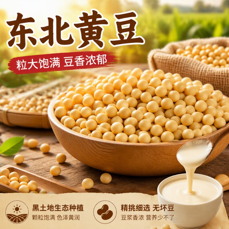 东北黄豆新黄豆黄豆打豆浆农家自种黑龙江新大豆生豆芽五谷杂粮豆