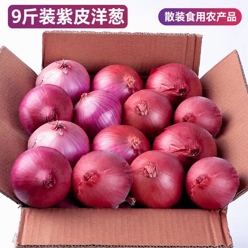 紫皮洋葱生吃专用辣味蔬菜圆葱