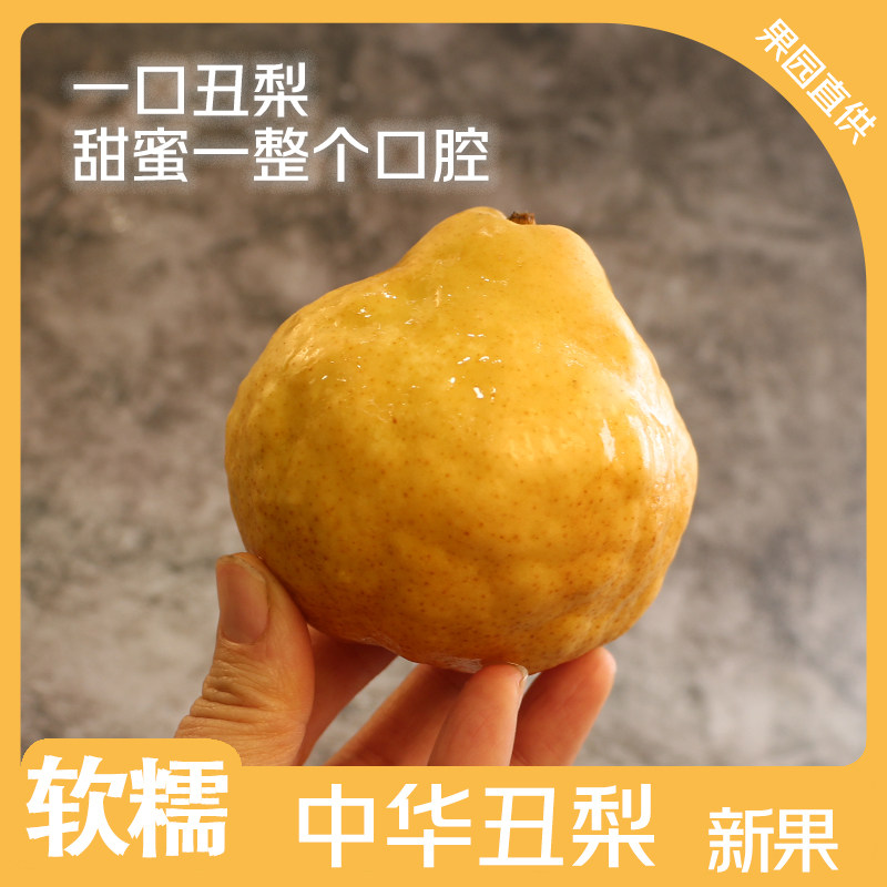 中华丑梨莱阳梨太婆梨啤梨雪梨秋月新鲜水果软糯香甜,水产肉类/新鲜蔬果/熟食,梨,淘宝优惠券,粉丝福利购,淘宝优惠卷