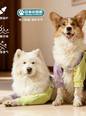狗狗护肘衣加厚关节保护套