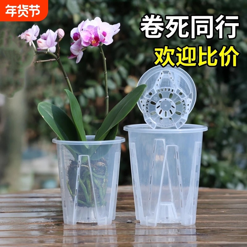塑料控根盆兰花水苔蝴蝶兰专用花盆透明透气镂空大号树脂花盆家用,鲜花速递/花卉仿真/绿植园艺,花盆,淘宝优惠券,粉丝福利购,淘宝优惠卷