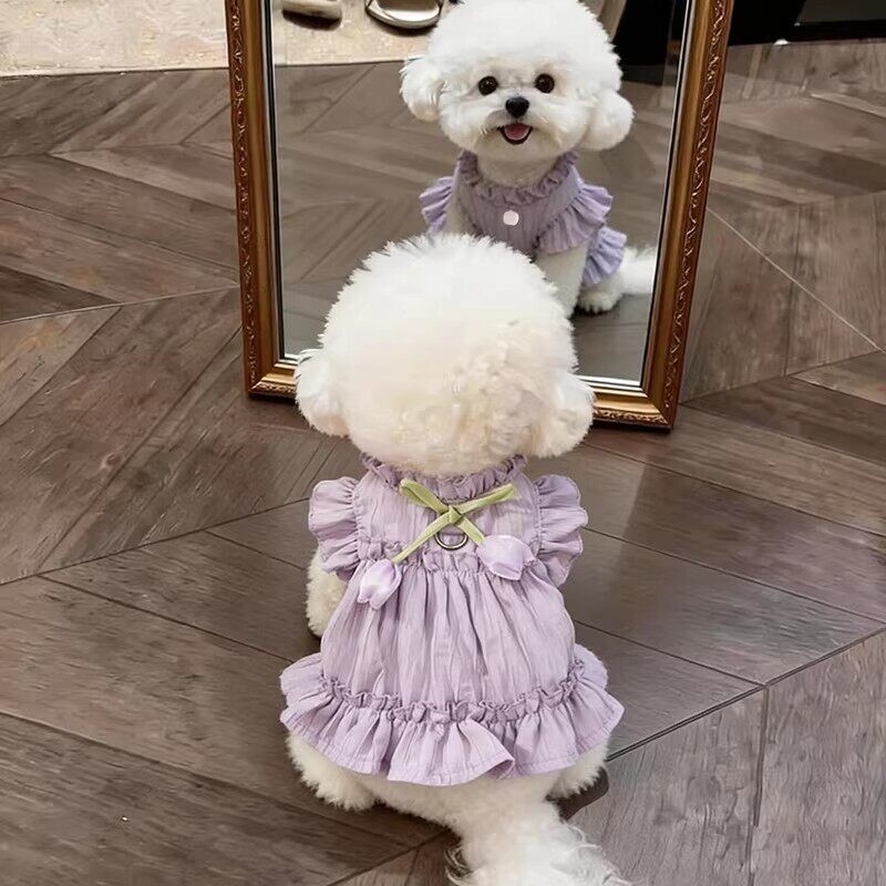 春夏季宠物衣服服饰透气清凉蓬蓬裙狗狗猫咪泰迪比熊博美洋装子