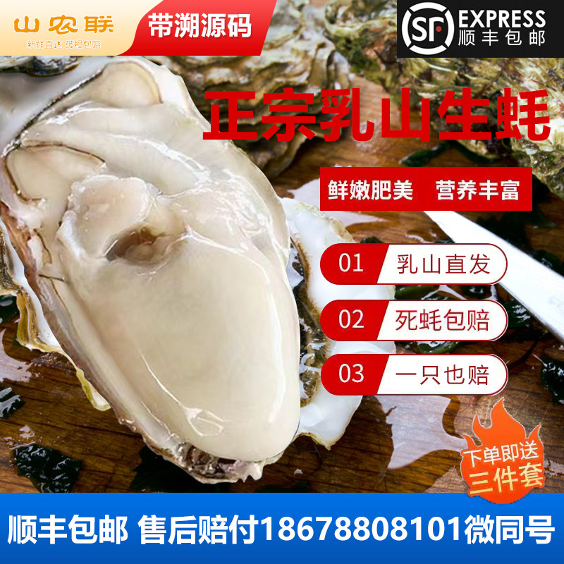 正宗乳山生蚝产地直发带防伪码现货生蚝5斤装海蛎子牡蛎包活