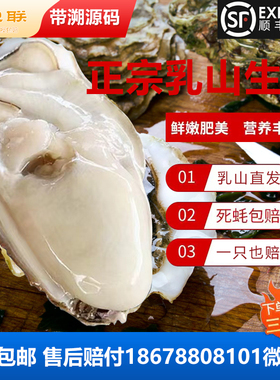 正宗乳山生蚝产地直发带防伪码现货生蚝5斤装海蛎子牡蛎包活