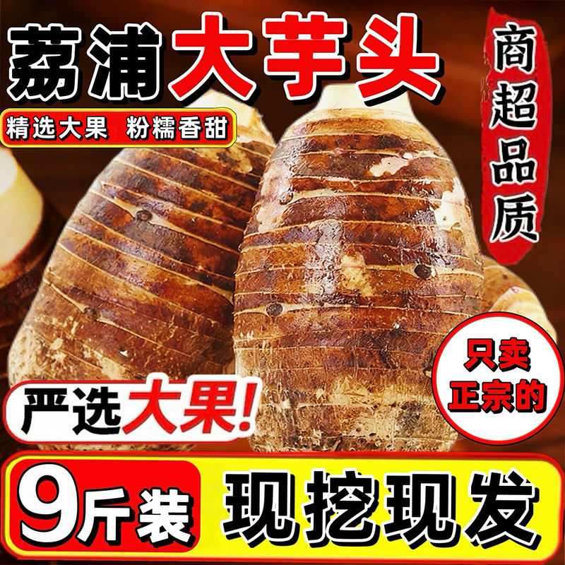广西正宗荔浦芋头农家9斤整箱槟榔香芋头现挖新鲜粉糯香甜毛芋头