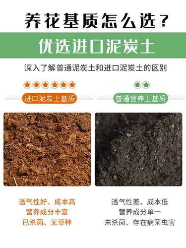 Торфяная почва PIN -стиму