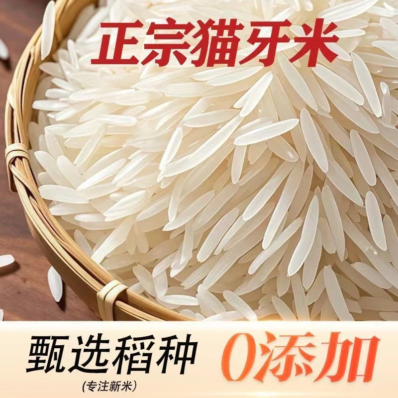 一级猫牙香米广西新米煲仔饭煮粥软糯香甜长粒米丝苗米原生态大米