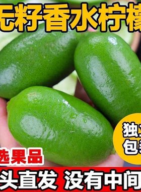香水柠檬新鲜正宗青柠檬无籽大果正宗一级果应当季水果奶茶店专用