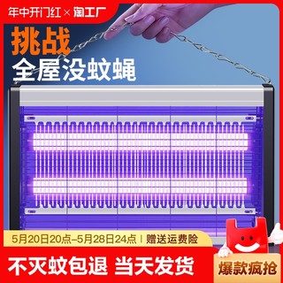 灭蚊灯灭蝇灯苍蝇捕捉器挂墙室内家用餐厅饭店商铺驱蚊神器电蚊子