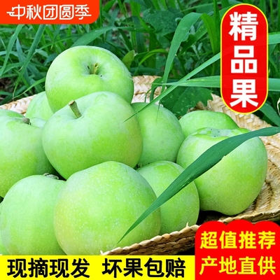 青苹果新鲜酸脆|超1000次加购