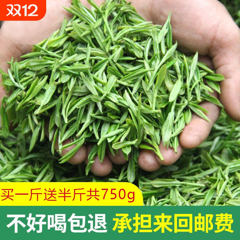 一斤送半斤绿茶2025新茶