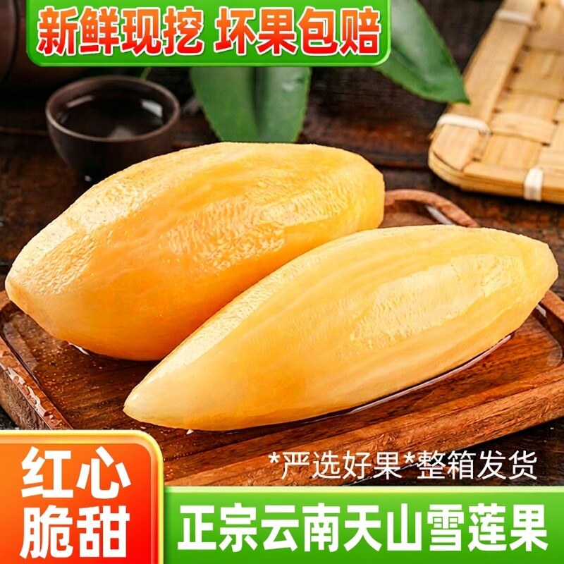 云南天山雪莲果新鲜水果9斤当季现挖大果云南红心雪连果黄心整箱