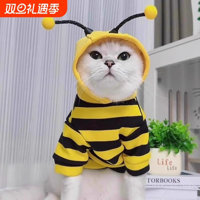 猫咪衣服秋冬款蜜蜂装银渐层布偶英短起司小型犬宠物保暖狗狗卫衣