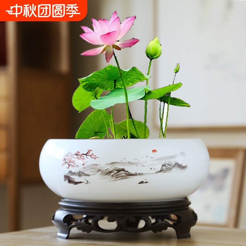 水仙大号花盆陶瓷铜钱草水培睡莲碗莲金钱草盆缸大莲花托盘陶土