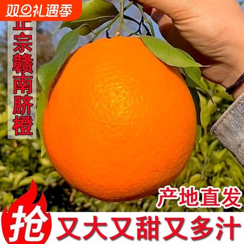 江西赣南脐橙赣州产地直发新鲜当季水果孕妇甜脐橙子整箱包邮