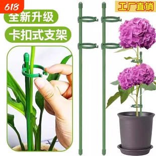 朱顶红花架支撑杆防倒伏支架园艺番U茄架子绿植爬藤固定植物花卉