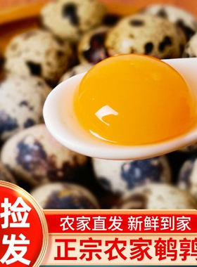 云依禾农庄50枚装农家散养生鹌鹑蛋鸟蛋宝宝营养辅食新鲜鹌鹑蛋