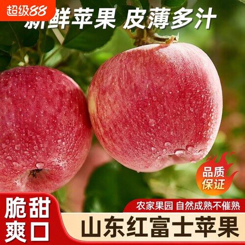 山东红富士苹果当季5斤新鲜水果