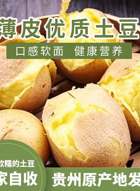 贵州威宁新鲜现挖贵州土豆洋芋