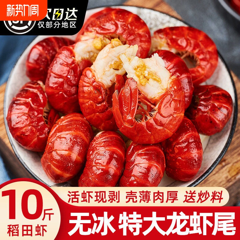 龙虾尾特大号无冰衣鲜活小龙虾冷冻生鲜新鲜虾球鲜冻批发商用水产