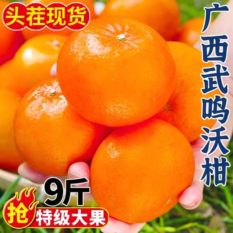 正宗广西沃柑当季新鲜黄金皮孕妇水果柑橘子5斤9斤大果爆汁果子
