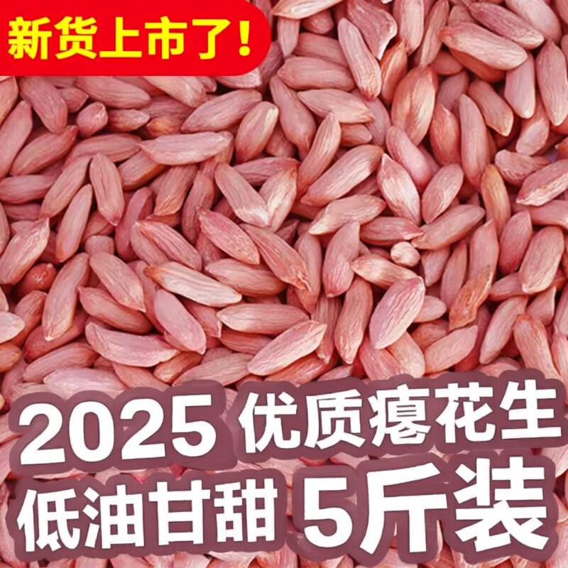 花生米瘪花生抢2025年山东生新米小瘪子零食小花生原味新货晒干