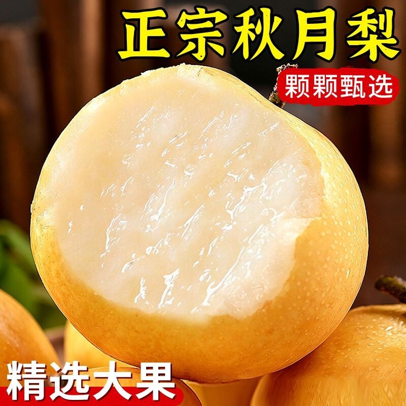 正宗秋月梨新玉现摘水果新鲜当季梨子脆甜冰糖雪梨子大果整箱包邮