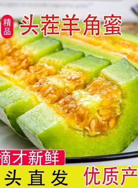 正宗山东羊角蜜甜瓜5斤