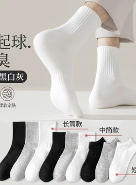 白色纯棉袜子男夏薄款抗起球防臭抗菌吸汗透气春秋款短袜长袜中筒