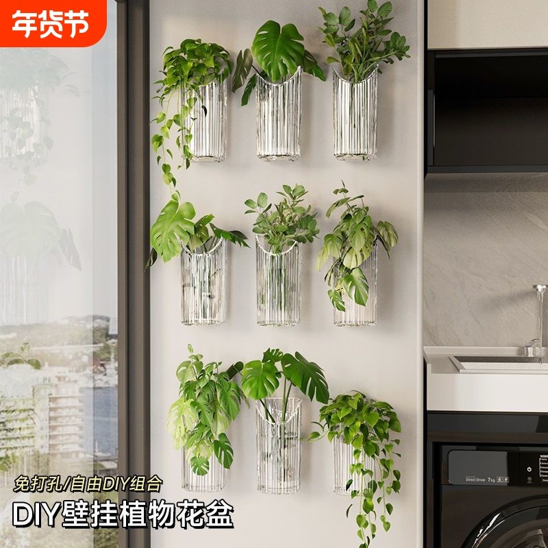 水培植物壁挂花盆透明绿萝鲜置物架创意客厅墙壁装饰挂件绿植花瓶
