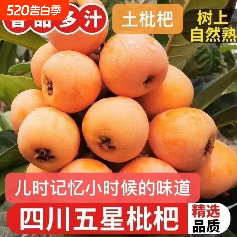 攀枝花枇杷头茬五星果香浓郁当季鲜果网红小众水果净重三斤装新鲜