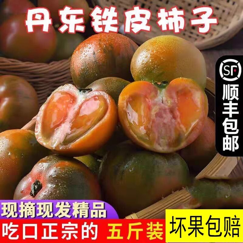 正宗丹东草莓柿子西红柿新鲜碱地铁皮柿子自然熟生吃水果番茄