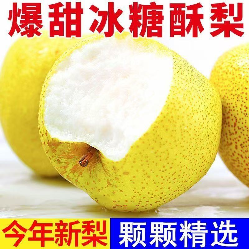 陕西正宗乾县泔河贡梨酥梨当季新鲜梨子贵妃梨皮薄核小爆汁甜砀山