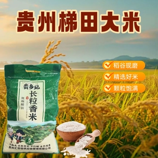 贵州农家高山梯田原生态长粒香晚稻米不抛光10斤装包邮现磨米饭