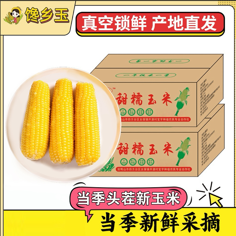 FT馋乡玉东北当季黄糯玉米非转基因0添加甜粘糯玉米