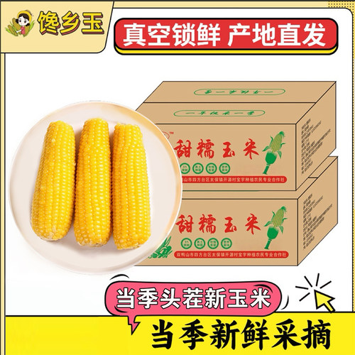 FT馋乡玉东北当季黄糯玉米非转基因0添加甜粘糯玉米