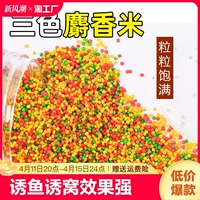 Рыболовная трехцветная рисовая наживка, дикий рыболовный карась, материал для гнездования винного риса, частицы кунжутного шарика, наживка из мускусного проса, ручей черной ямы