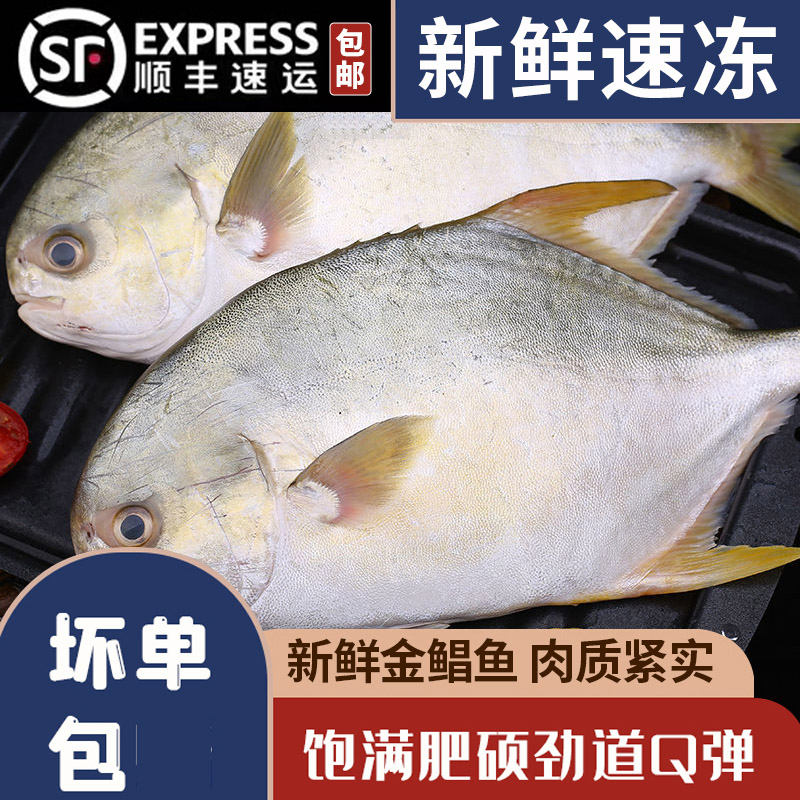 深海大金鲳鱼新鲜冷冻海捕金昌鱼海昌鱼平鱼海鲜水产海鱼海鲜