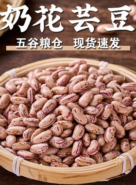 【规格齐全】奶花芸豆花腰豆奶花豆花饭豆大粒新收奶白花饭豆煮粥