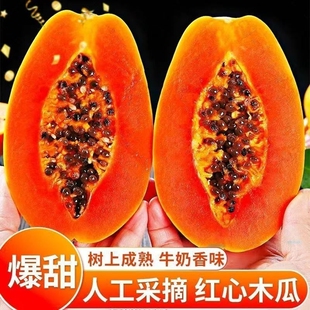 水果9斤整箱青皮孕妇自然熟 冰糖心红心牛奶木瓜新鲜广西现发当季