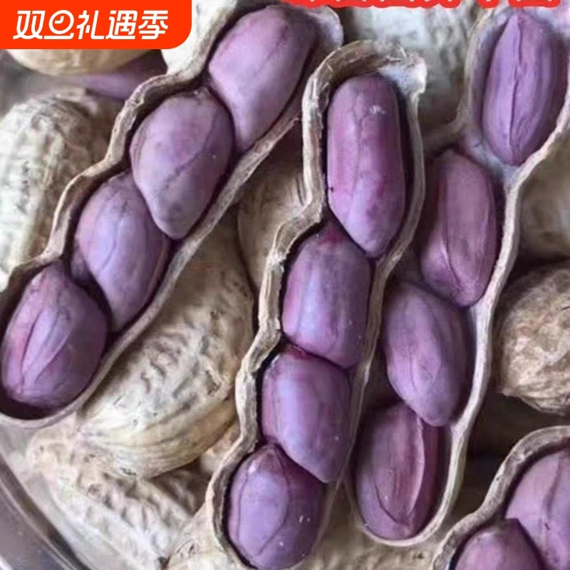 【厂家冲量】农家水煮花生晒干红皮花生咸干盐水煮香脆花生