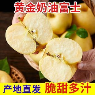 山东黄金奶油苹果脆甜黄心富士苹果应季新鲜苹果水果整箱批发