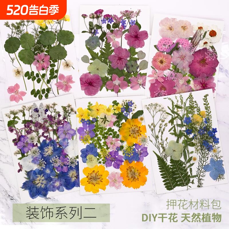 新品干花diy押花干花压花真花植物标本创意组合手工滴胶相框书签