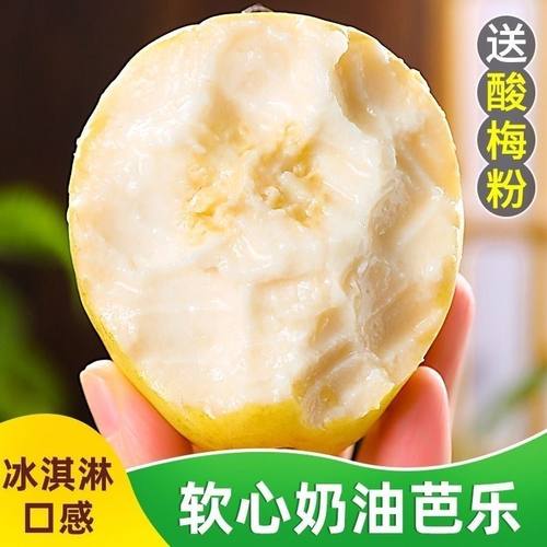 广东新鲜黄金奶油芭乐冰激凌软糯番石榴现摘低糖孕妇水果鸡屎大果