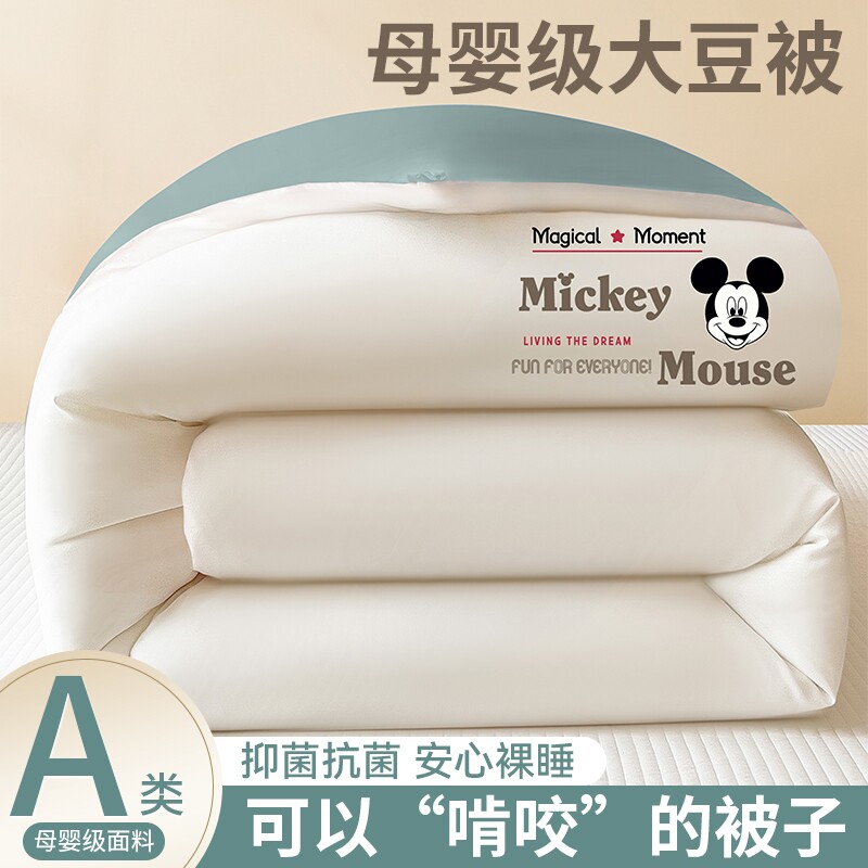 大豆纤维被子冬被棉被芯加厚保暖学生宿舍夏季春秋儿童被四季通用