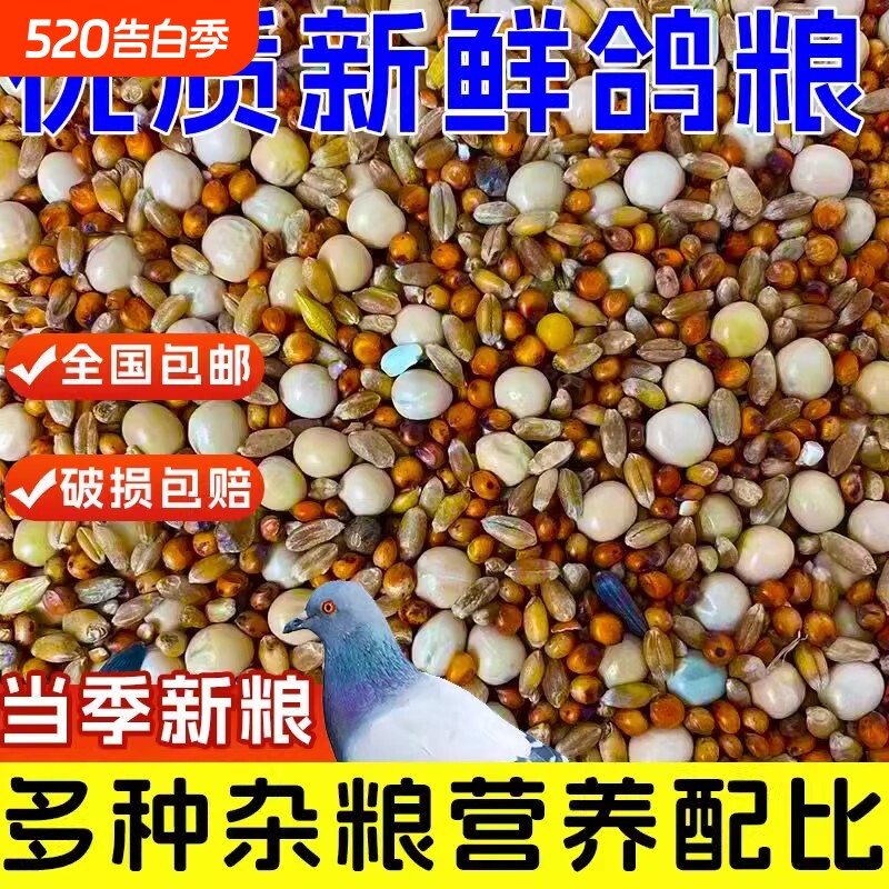 优质鸽粮玉米粮食鸟食饲料鸽子营养保健幼鸽成鸽肉鸽观赏鸽信鸽粮