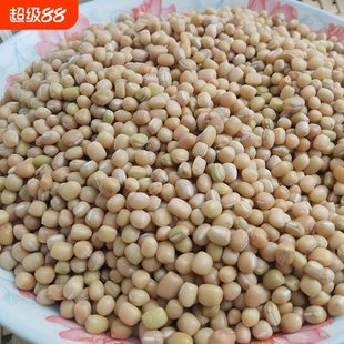 贵州小豆贵州特产豆米饭豆米豆新豆米小酸菜农家肥自种豆子