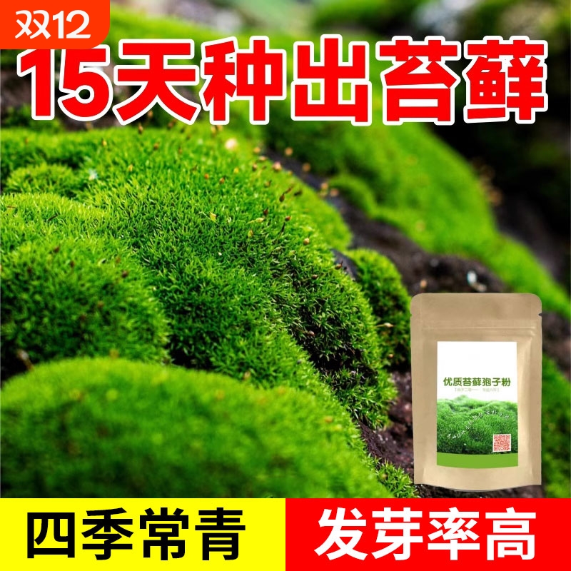 【千人回购】苔藓孢子粉种子青苔