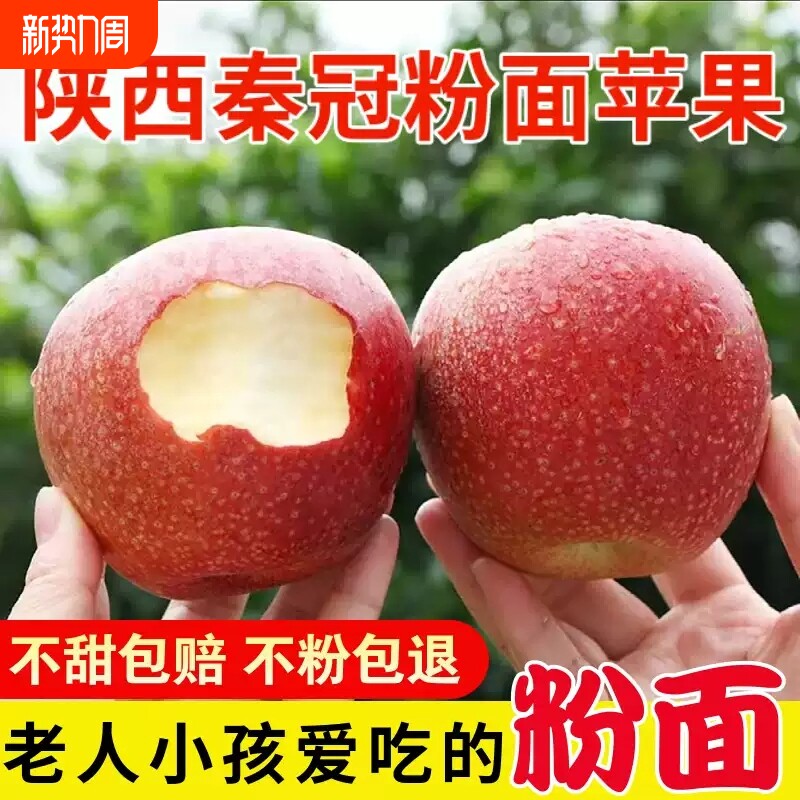 陕西秦冠苹果粉面沙甜苹果老人宝宝刮果泥吃水果整箱包邮年货节