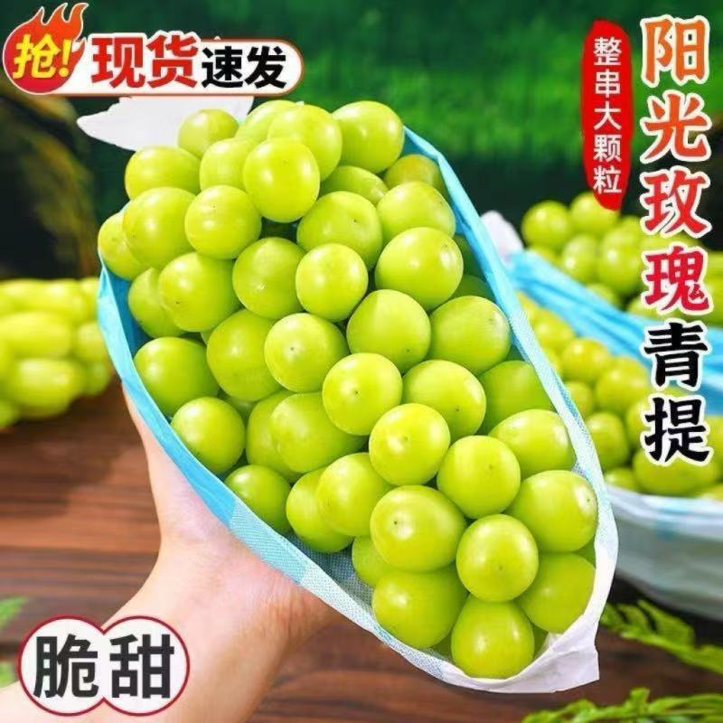 阳光玫瑰葡萄新鲜水果正宗当季提子青提